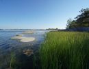 16072018 2018 07 01 JAMCA SEGLING   48 av 70
